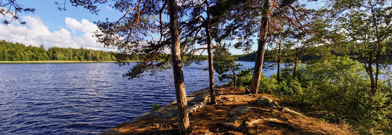Mossemesterskap Langdistanse